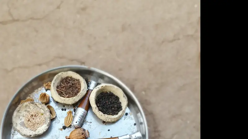Bandeja con semillas, raices y especias molidas, base de la medicina tradicional india