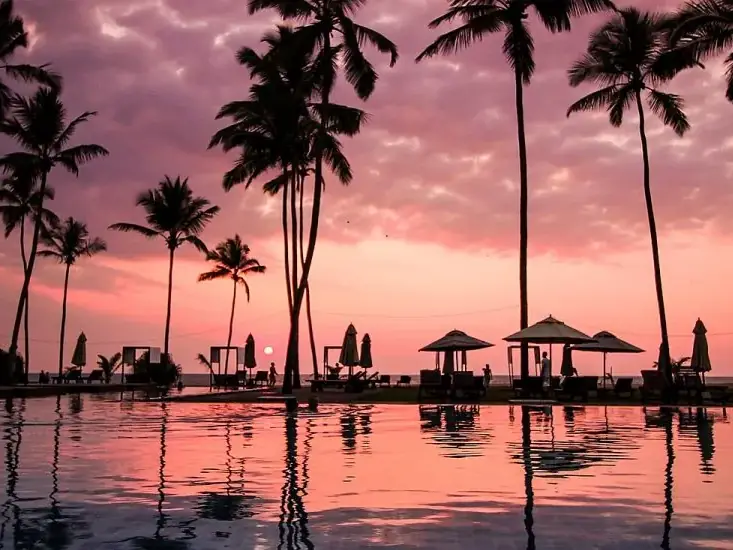 Piscina de un resort frente al mar al atardecer, entre palmeras, en Sri Lanka