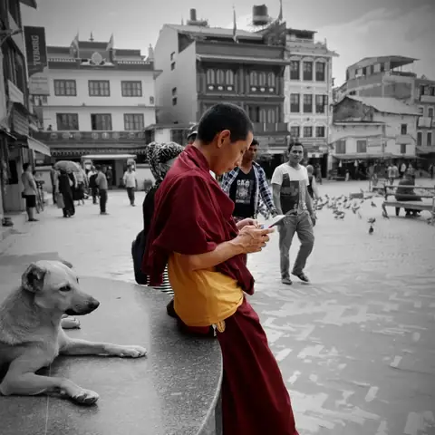 Monje budista leyendo junto a un perro callejero, fotografía en blanco y negro en Katmandú