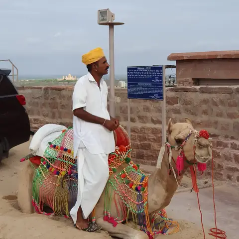 Camellero con turbante amarillo junto a su camello engalanado en la explanada del fuerte de Mehrangarh, Jodhpur
