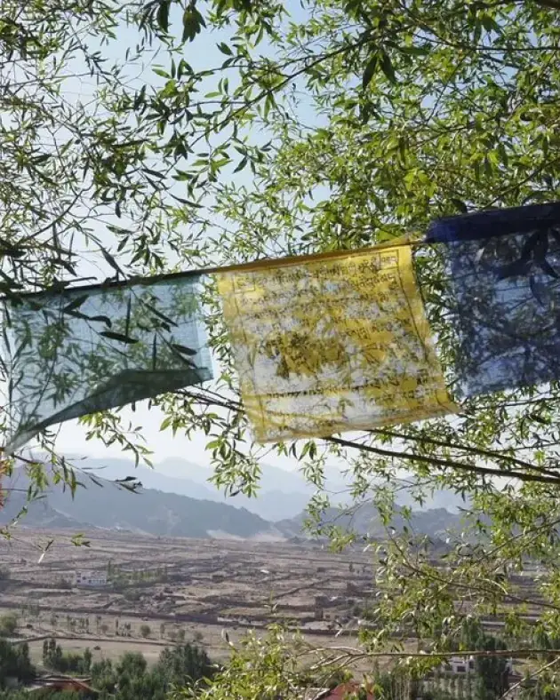 Banderas de oración tibetanas ondean sobre los tejados de Leh, Ladakh